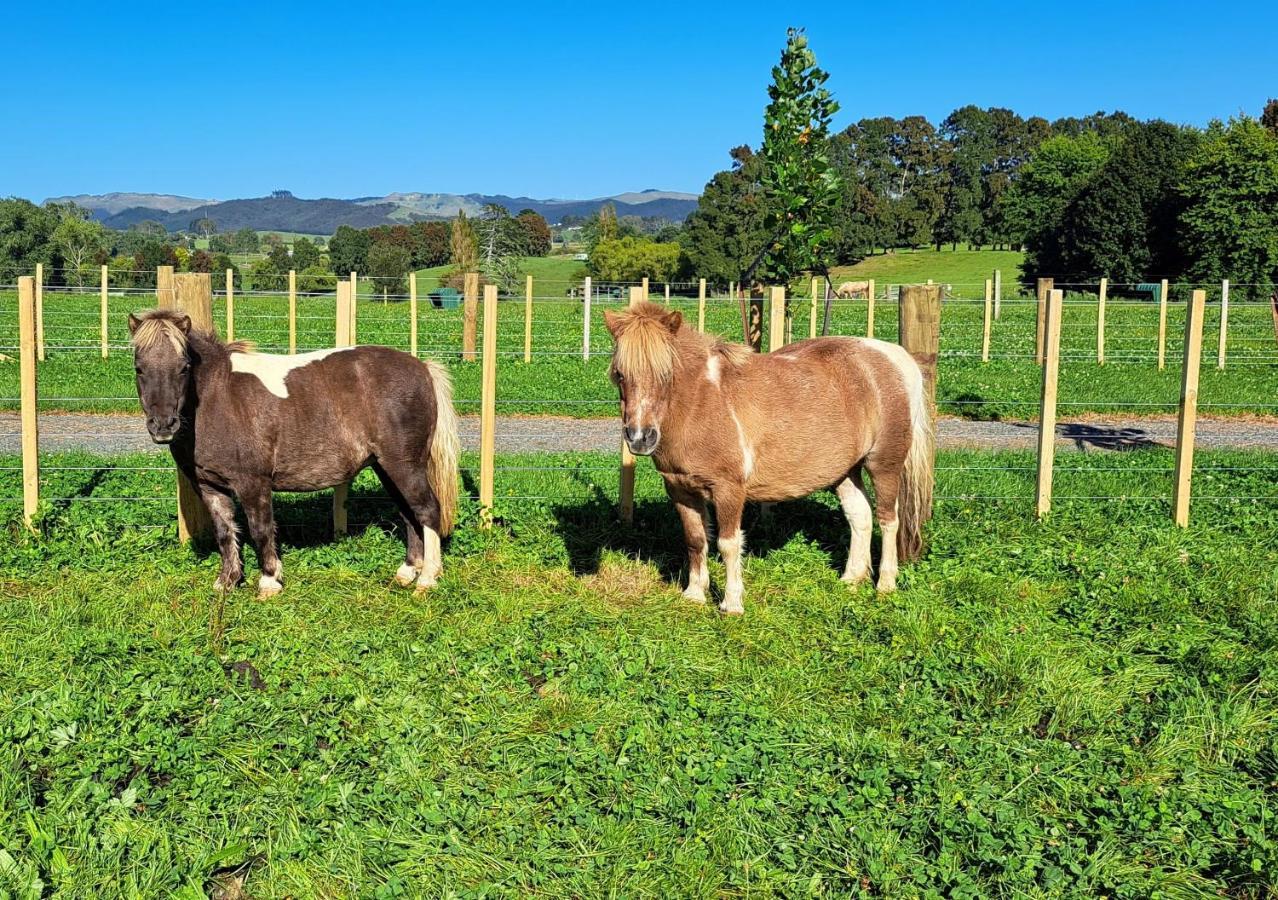 Country Comfort - Only 10 Minutes From Hamilton Cbd Exterior photo