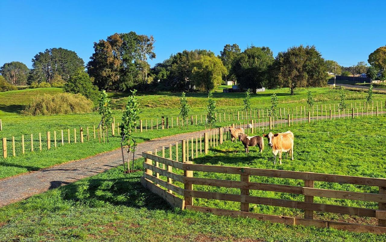 Country Comfort - Only 10 Minutes From Hamilton Cbd Exterior photo